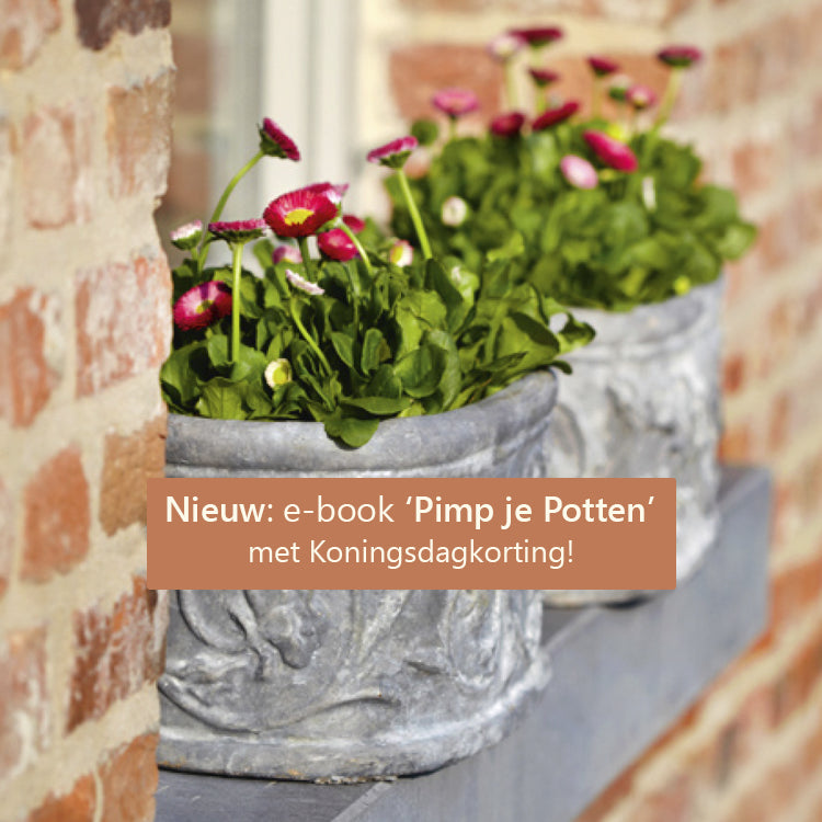 Nieuw: Ebook Pimp je Potten